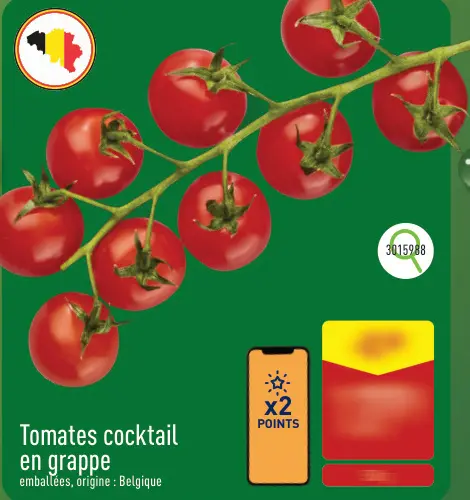 Offre: Tomates cocktail en grappe