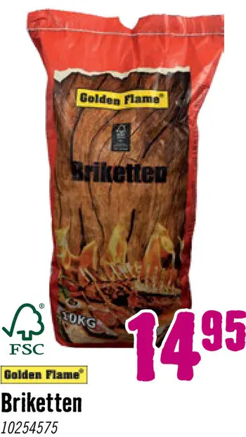 Aanbieding: GOLDEN FLAME Briketten 10 kg