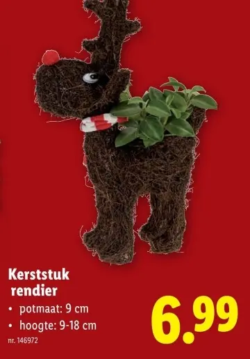 Aanbieding: Kerststuk rendier