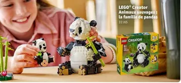 Offre: Animaux sauvages: la famille de pandas