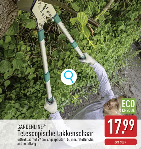 Promotie: Telescopische takkenschaar