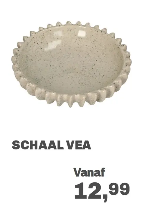 Aanbieding: Schaal vea
