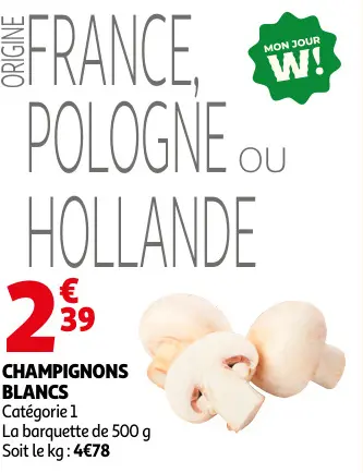 Offre: Champignons Blancs