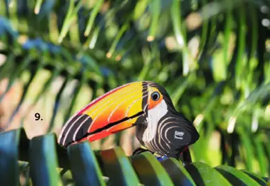 Offre: Toucane et Lion