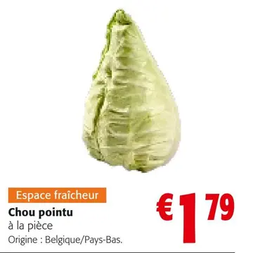 Offre: Chou pointu