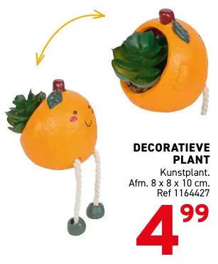 Promotie: Decoratieve plant