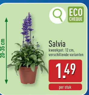 Promotie: Salvia