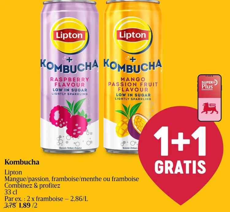 Offre: Kombucha
