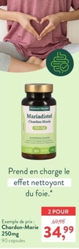 Offre: Holland & Barrett Chardon Marie 250 mg - 90 capsules