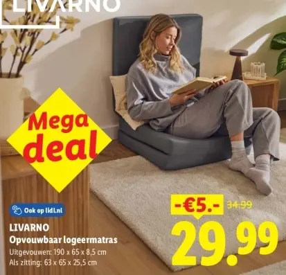 Aanbieding: Opvouwbaar logeermatras