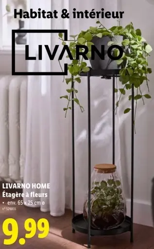 Offre: Étagère à fleurs