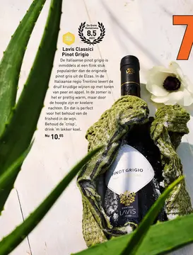 Aanbieding: Lavis Classici Pinot Grigio