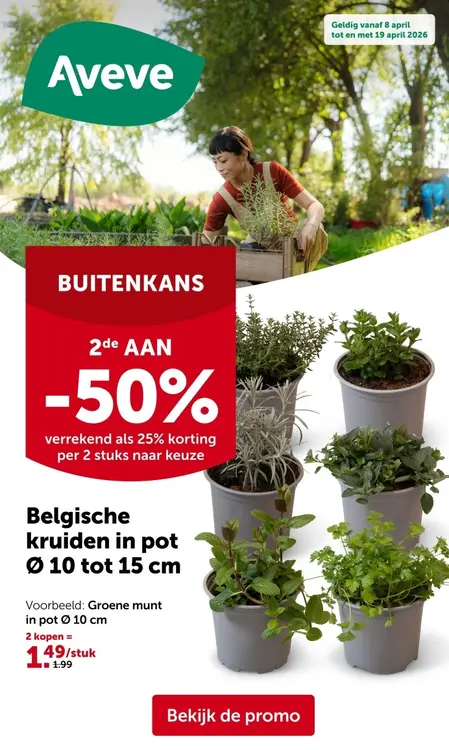 Promotie: Belgische kruiden in pot