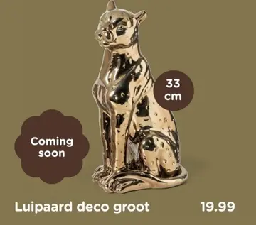 Aanbieding: Luipaard deco groot