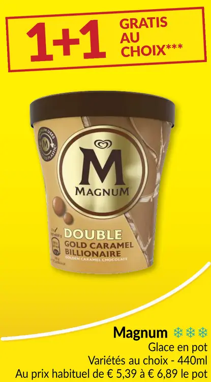 Offre: Glace en pot
