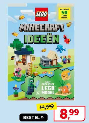 Promotie: Minecraft Ideeën