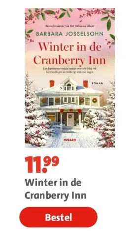 Aanbieding: Winter in de Cranberry Inn