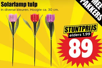 Aanbieding: Solarlamp tulp