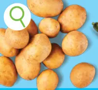 Promotie: Nicola-aardappelen