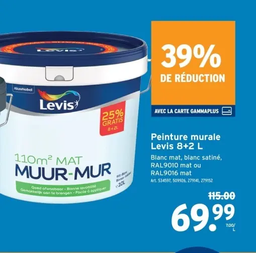 Offre: Peinture murale
