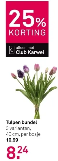 Aanbieding: Tulpen bundel