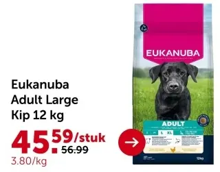 Aanbieding: Adult Large Kip