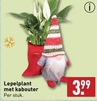 Aanbieding: Lepelplant met kabouter