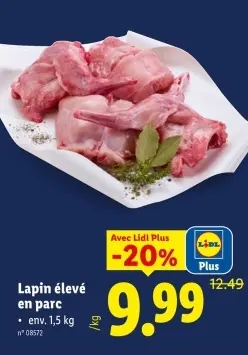 Offre: Lapin élevé en parc