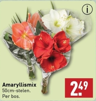 Aanbieding: Amaryllismix