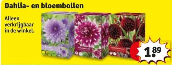 Aanbieding: Gazon Power