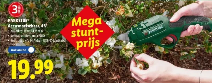 Promotie: Accusnoeischaar, 4 V