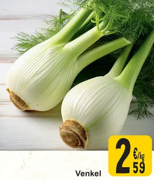 Aanbieding: Venkel