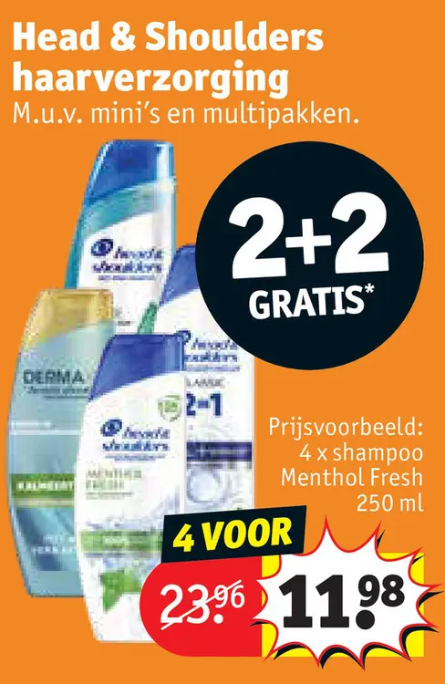 Promotie: Head & Shoulders haarverzorging