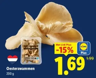 Aanbieding: Oesterzwammen