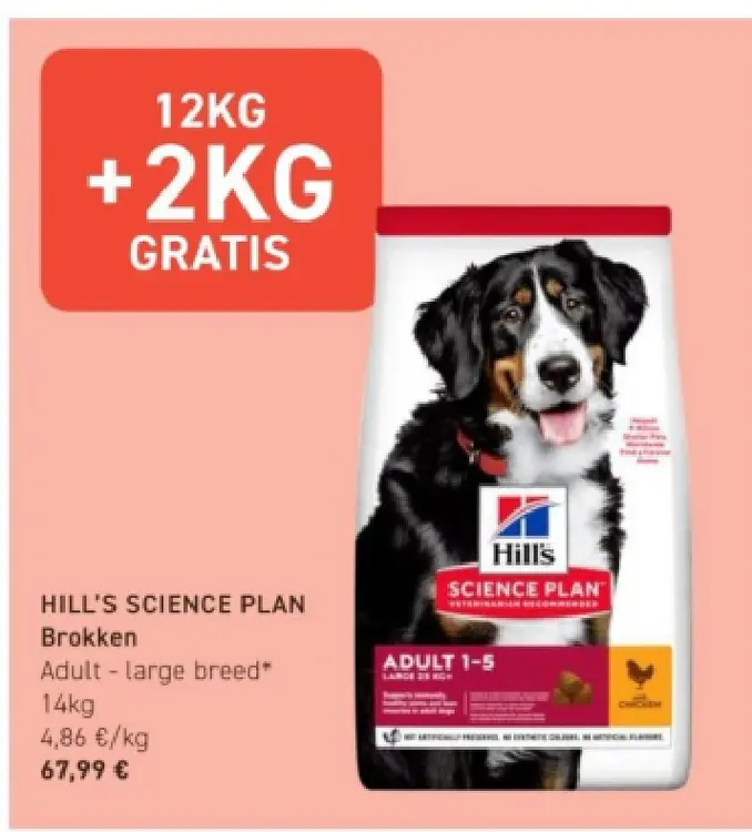 Promotie: Brokken