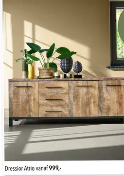 Aanbieding: Dressior Atrio