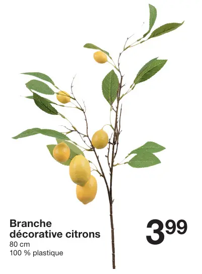 Offre: Branche décorative citrons