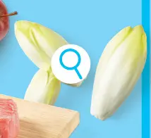 Promotie: Miniwitloof