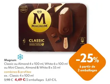 Offre: Magnum