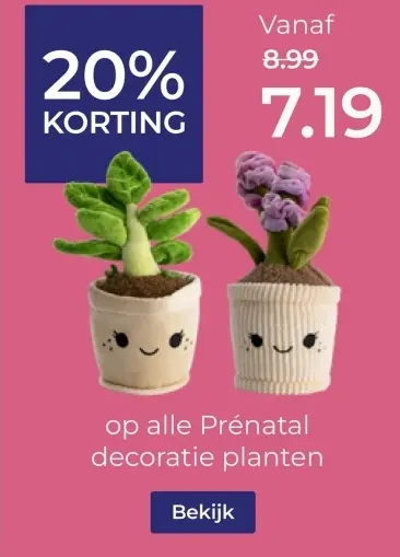 Aanbieding: decoratie planten