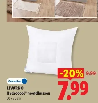 Aanbieding: Hydrocool® hoofdkussen