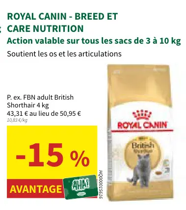 Offre: FBN adult British Shorthair