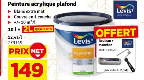 Offre: Peinture acrylique plafond
