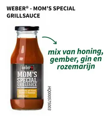 Promotie: Mom's special grillsauce