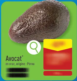 Offre: Avocat
