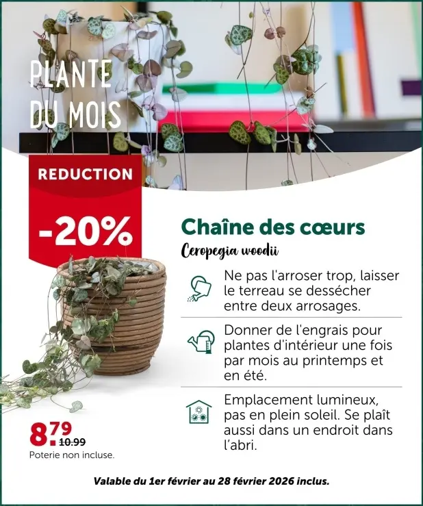 Offre: Chaîne des cœurs
