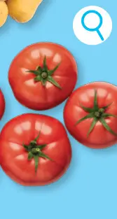 Promotie: Tomaten