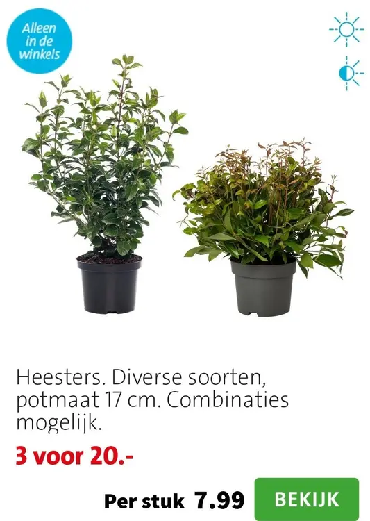 Aanbieding: Heesters