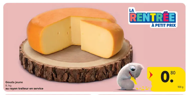 Offre: Gouda jeune
