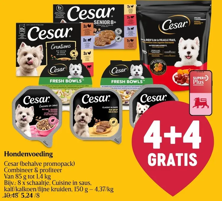 Promotie: Hondenvoeding